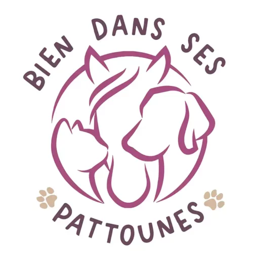 Bien dans ses pattounes - Sallanches (74)